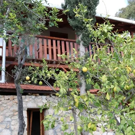 Dolichiste Stone House *