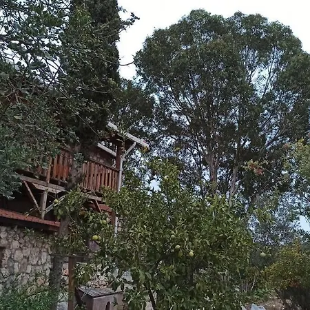 Dolichiste Stone House וילה *