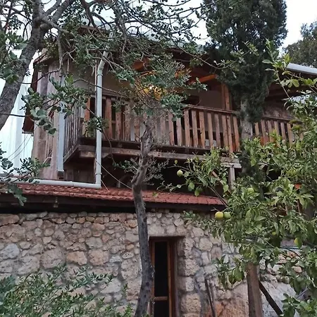 Dolichiste Stone House וילה